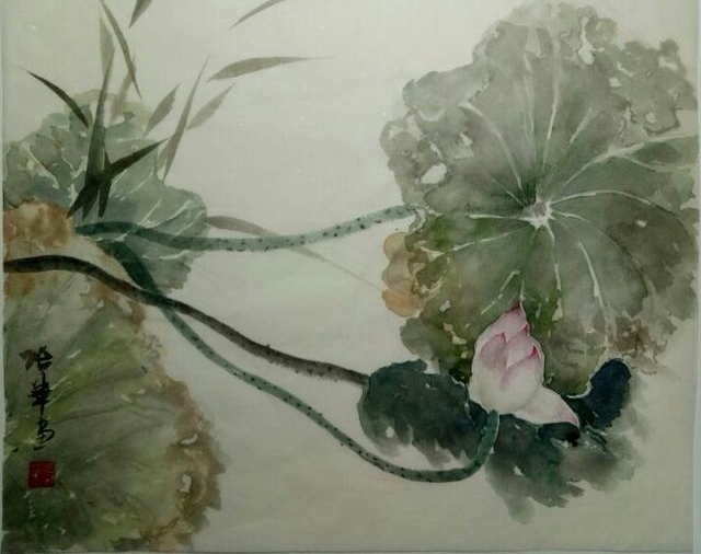 ��Ķ������ʮ�ﻨ��D�Dʡ��Э��ɽ��������Ů���Ҳɷ��ʵ