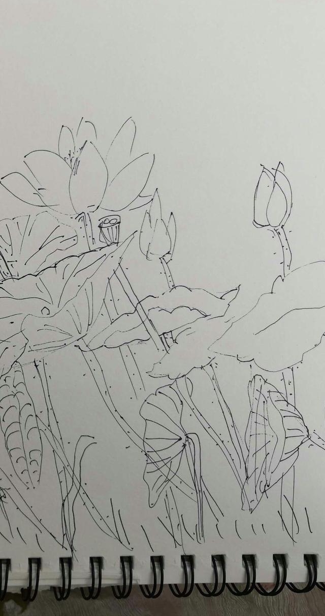 ��Ķ������ʮ�ﻨ��D�Dʡ��Э��ɽ��������Ů���Ҳɷ��ʵ