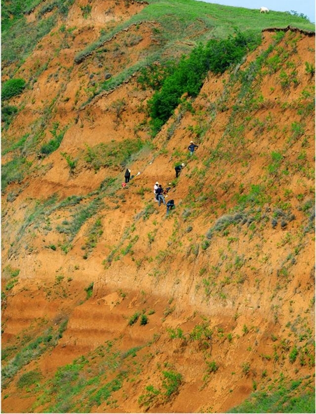 �ӹ����뵽�ϳ���ַ�������������������ַ���ϳ¾�ʯ����ַ��������