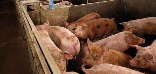 ΪʲôڵԽԽóˣѣԹũ