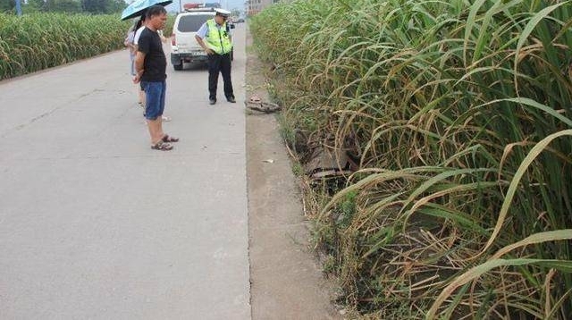 ů�ޣ�75����̫��ײ�ɵ�������³����룬�ؼ�˵�Լ��ﳵˤ��