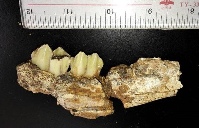 �ӹ����뵽�ϳ���ַ�������������������ַ���ϳ¾�ʯ����ַ��������