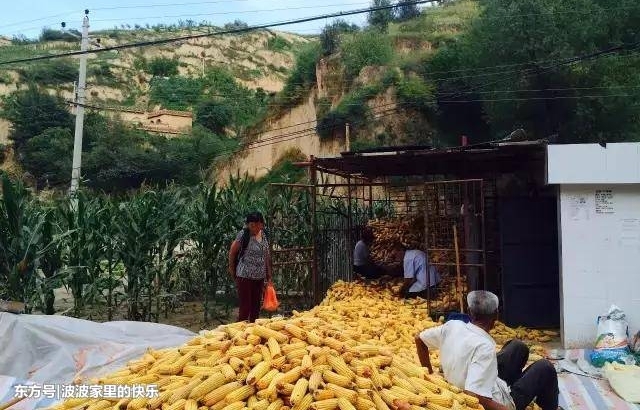 ׹¥������ʹʧ����������ϸ���״ν�¶������