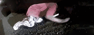 һŮưҹſ˾ͣ˫