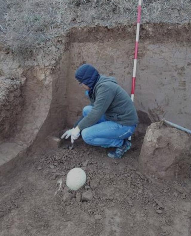 �ӹ����뵽�ϳ���ַ�������������������ַ���ϳ¾�ʯ����ַ��������