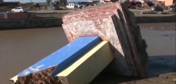 Ӧĸ鸰 ޶ȼԱ