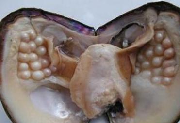 ɱȡ飬ȡ飿 ˵ֿĻȡ