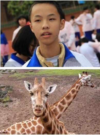 񳤾¹Ͷ˱Цͼ
