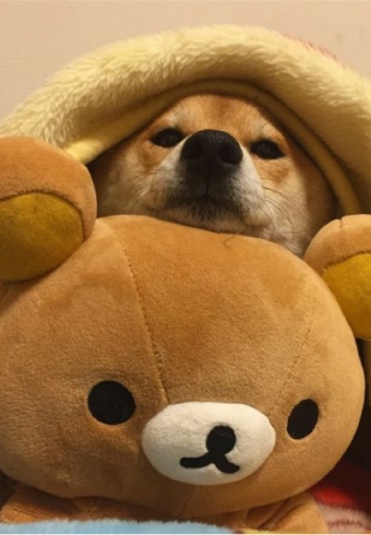 ɰĹӵеıȮЦͼ