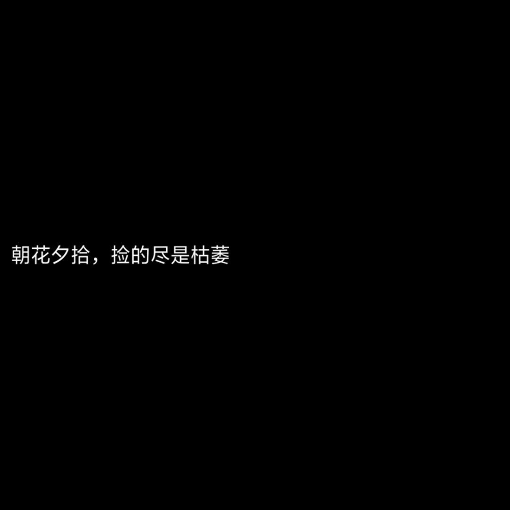 ˾޷ ¼