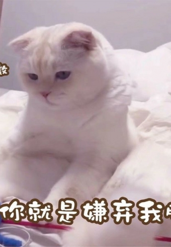 ñظֱѵ