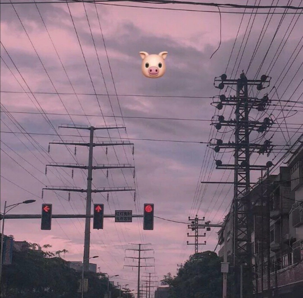 ԼýֵķΨ⾳ͼƬ