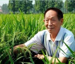 ں¸١Ԭ¡ƽϴŶ䡱Ϊ£