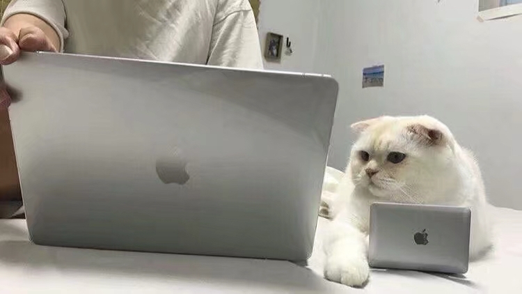 Ƽè޵ĴݶЦͼƬ