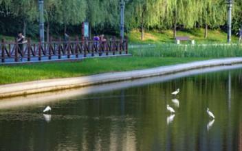 һĸ׻ӵߴٶдҵŵñ