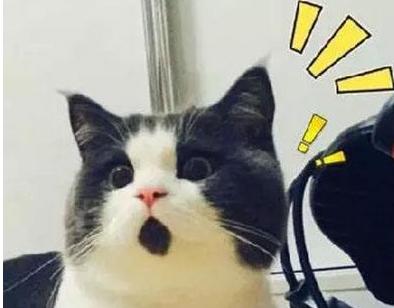 һѵͻȻףڼҳըû뵽