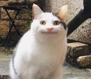 Ƕһ