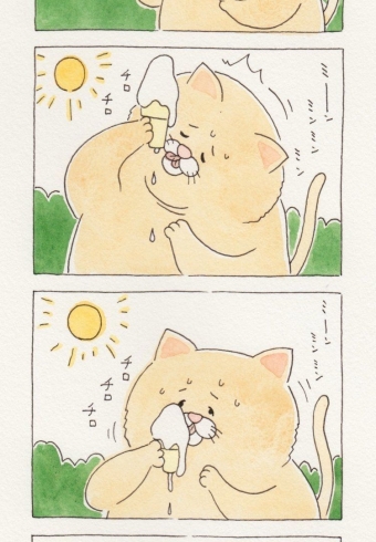 日本网红残念猫表情包漫画唯美搞