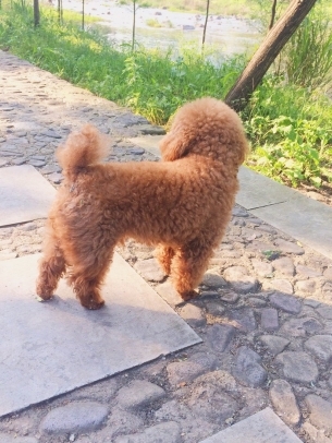 ȮͼƬȫͼƬɰ