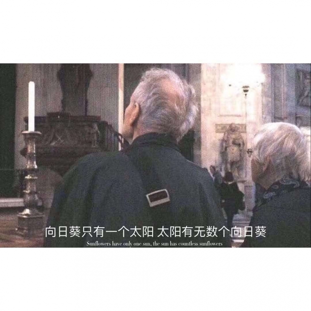 ̨޾ ¼İ̾