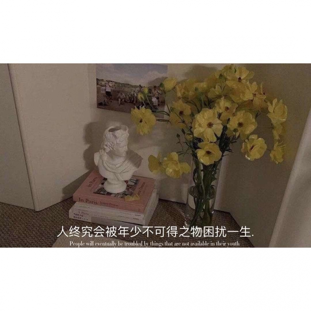 ̨޾ ¼İ̾