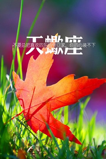 ЫͼƬȫֽΨ