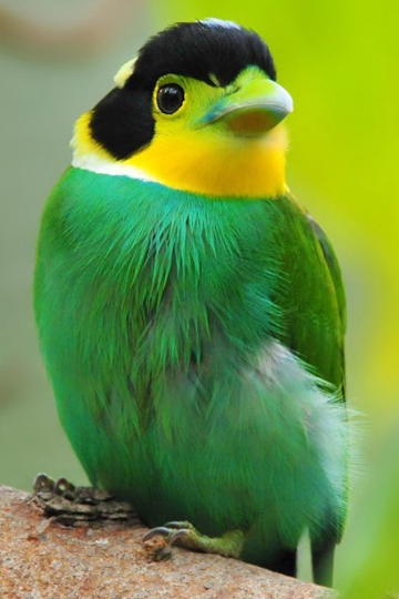 ȴ೤βͼƬ