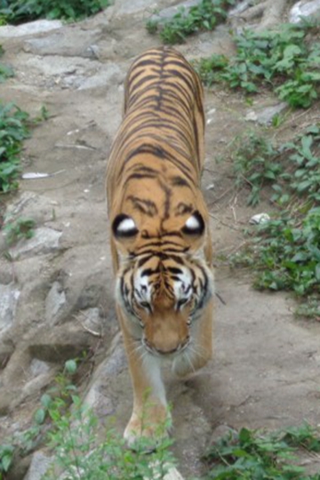 <b>ʳèƶǻƬȫ</b>