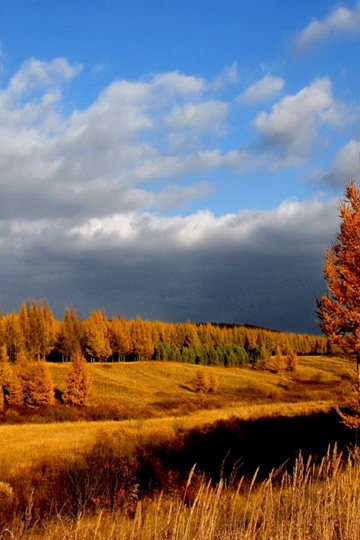 ʼԷеľΧԷ