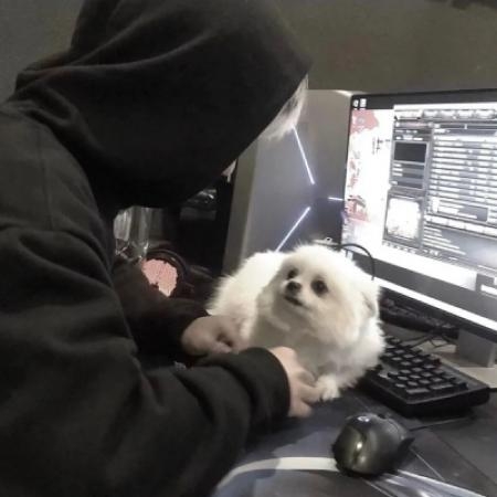 ÿqqͷͼƬ Ϊ¹