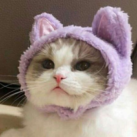ɰȵĺͷŮͼƬ