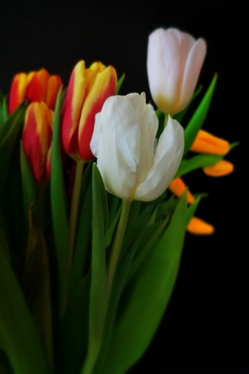 <b>ݱֲ㻨زΨд</b>