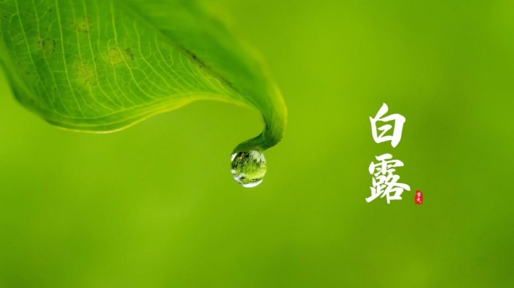 ʮĽ֮¶Ҷҵ¶