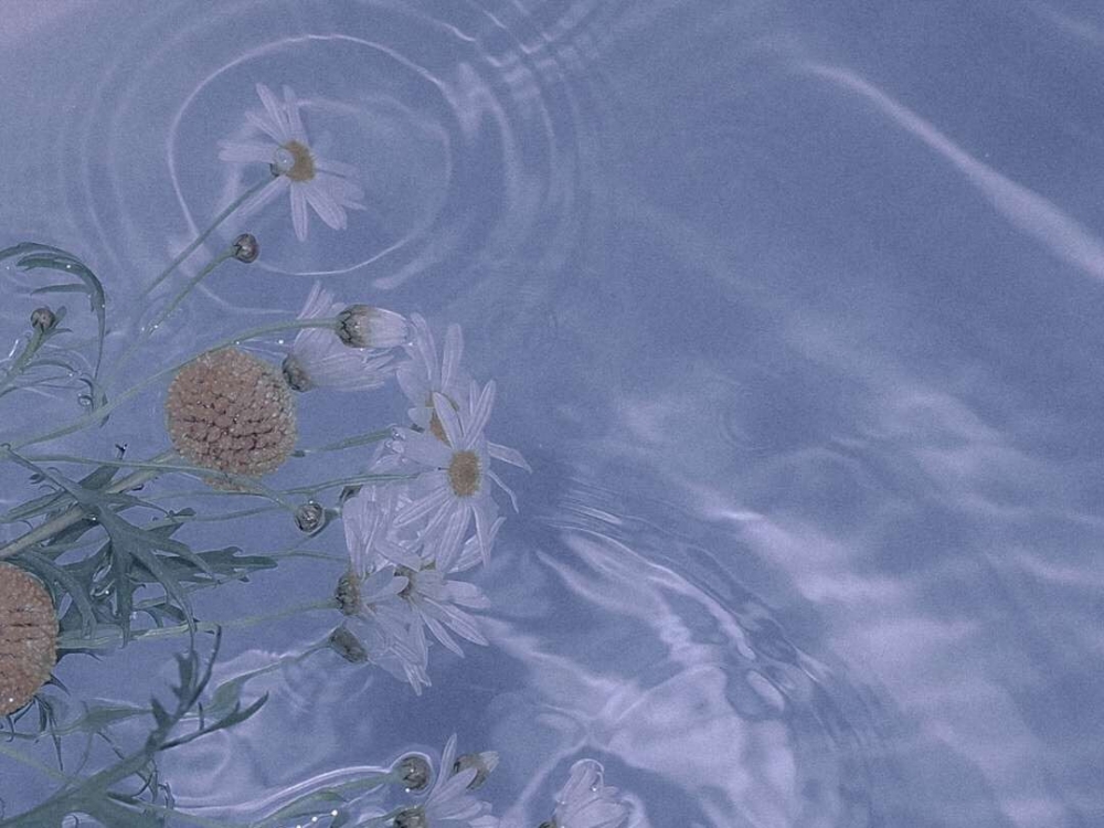ɫµСΨ⾳ֽ