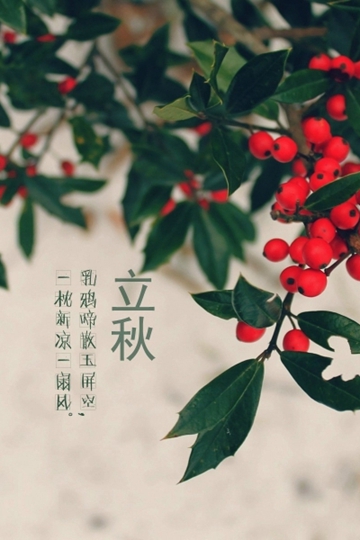 <b>ʮĽ֮Ψ羰Ӱд</b>