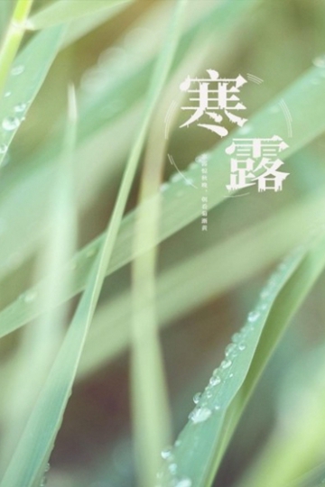 ʮĽ֮¶⾳ͼƬ