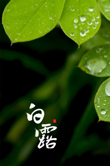 <b>ʮĽ֮¶¶⾳ֽ</b>