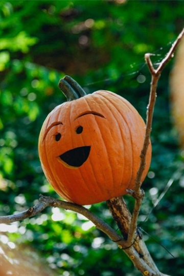 <b>ʥڿɰٱϹϵͼƬ</b>