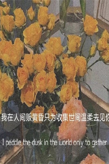 <b>黰͸Ǹ</b>