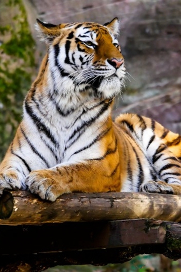<b>ϻӰͼƬ</b>