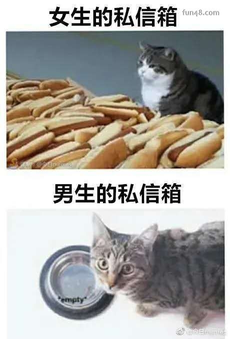 Ů˽˽ЦͼƬ