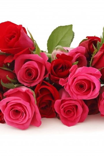 <b>εĺõӰд</b>