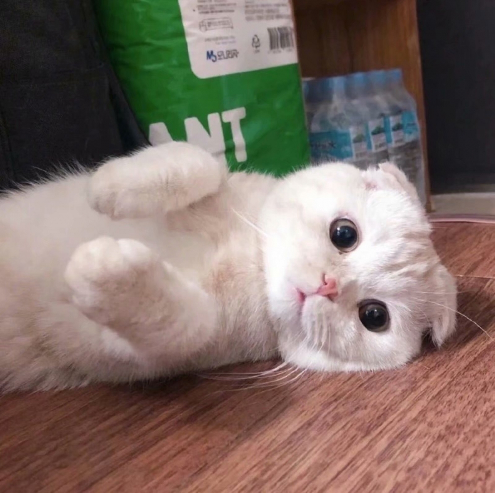 ףüĿչ˳ʶ ɰŮͷϼ