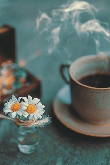 ӼղΨű