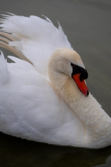 <b>ŵİʵͼƬ</b>