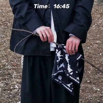 ֻסĲ¶س΢ͷ