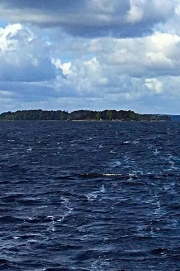 <b>ԶĺɽʵȻֽ</b>