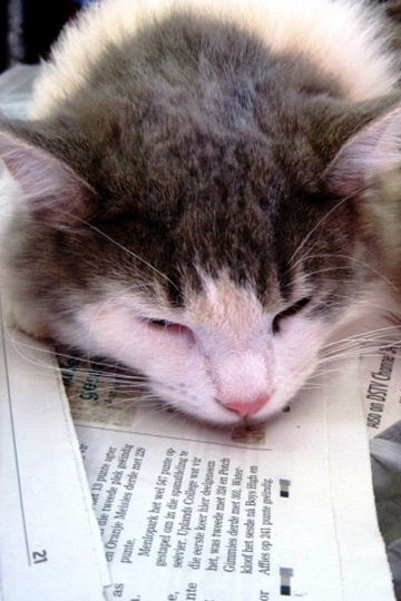 <b>˯èϵͼƬ</b>