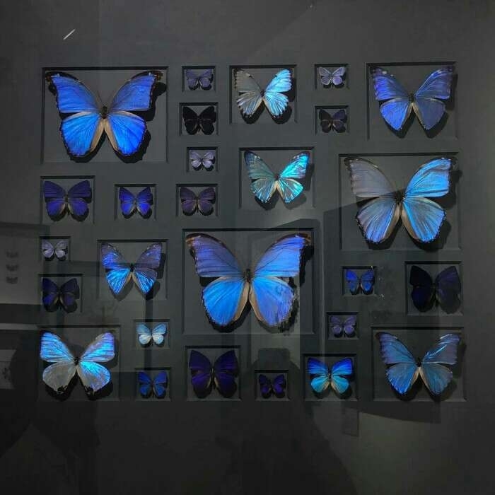 ɫϵźΨͼƬϼ