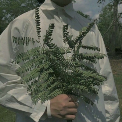 Ծϵ΢ͷ